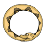 serpente cerchio.gif